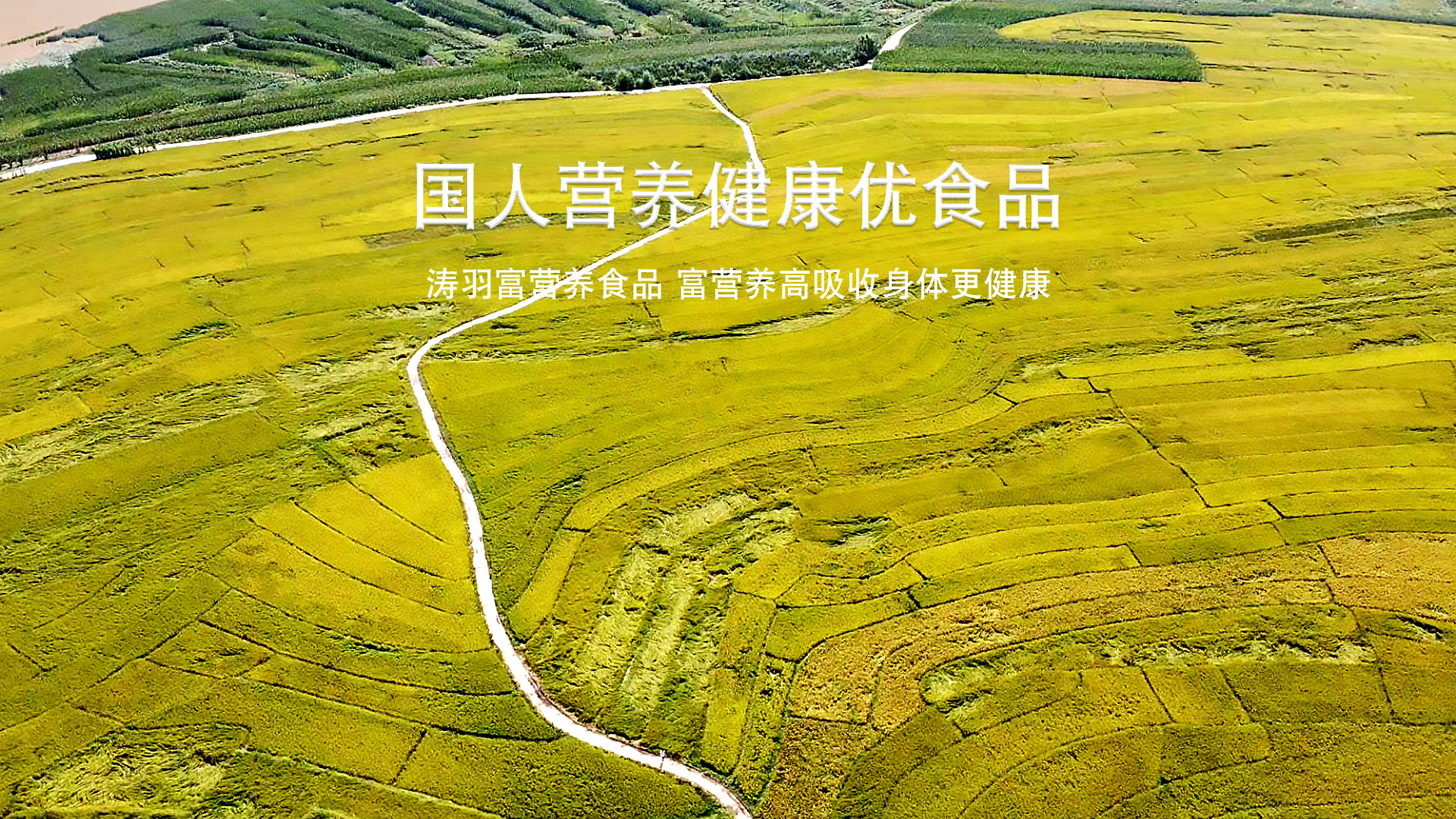 首页轮播