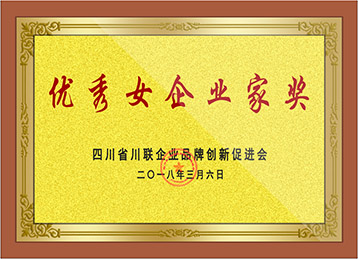 优秀女企业家奖