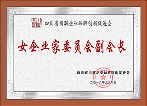 女企业家委员会副会长
