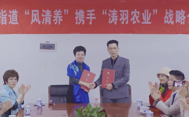 “互联网+”助力农业发展，“涛羽农业”携手农夫指道“风清养”
